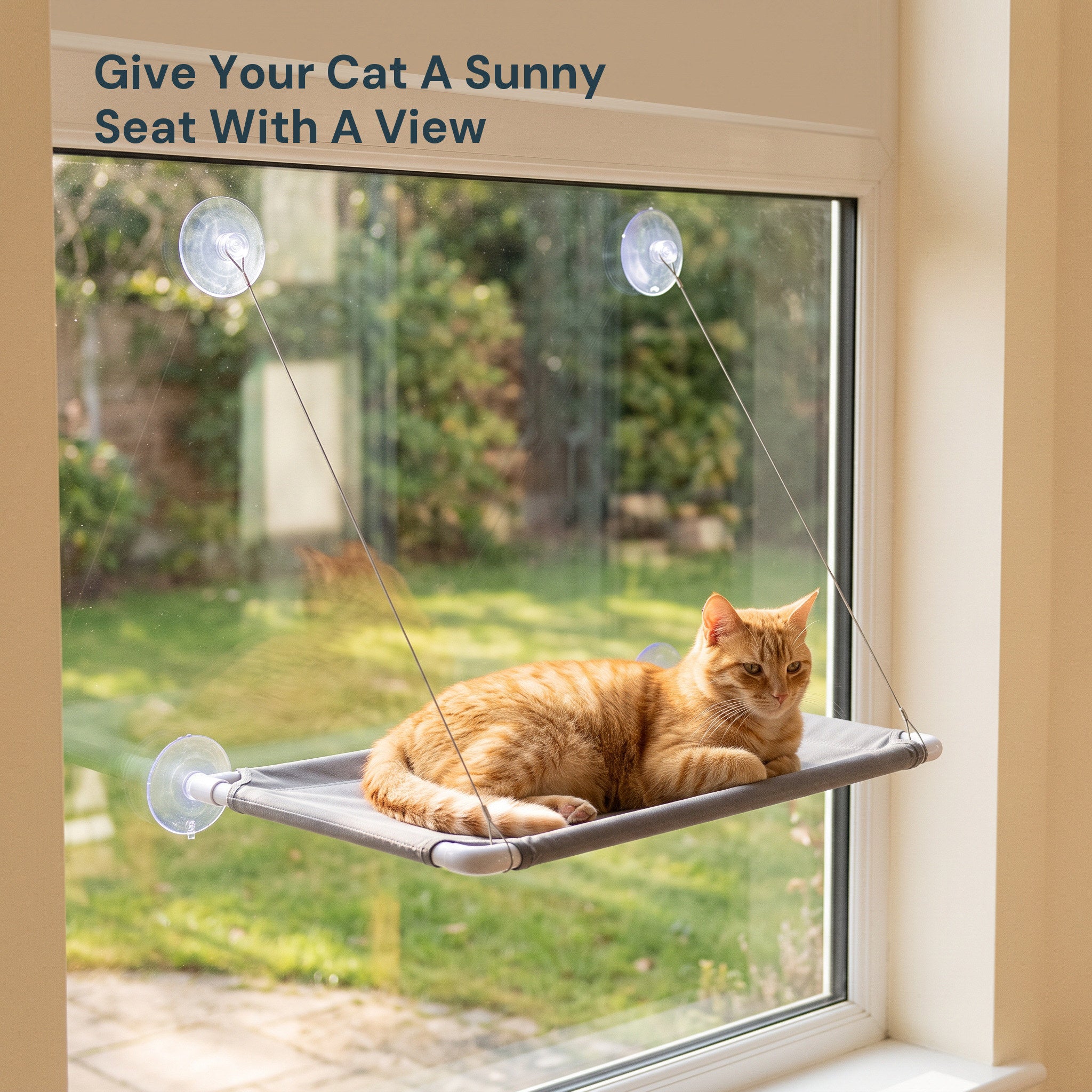 Orange Tabby On Grey Sunny Perch At A Sunny Window