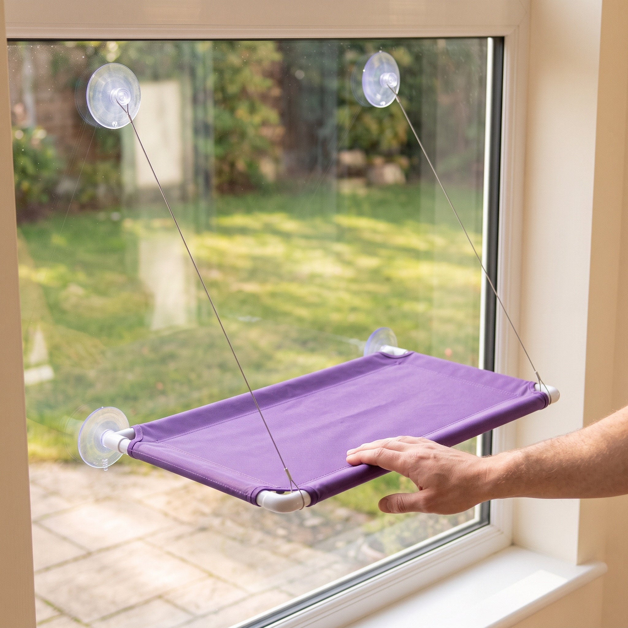 Owner Checking A Purple Sunny Perch Platform