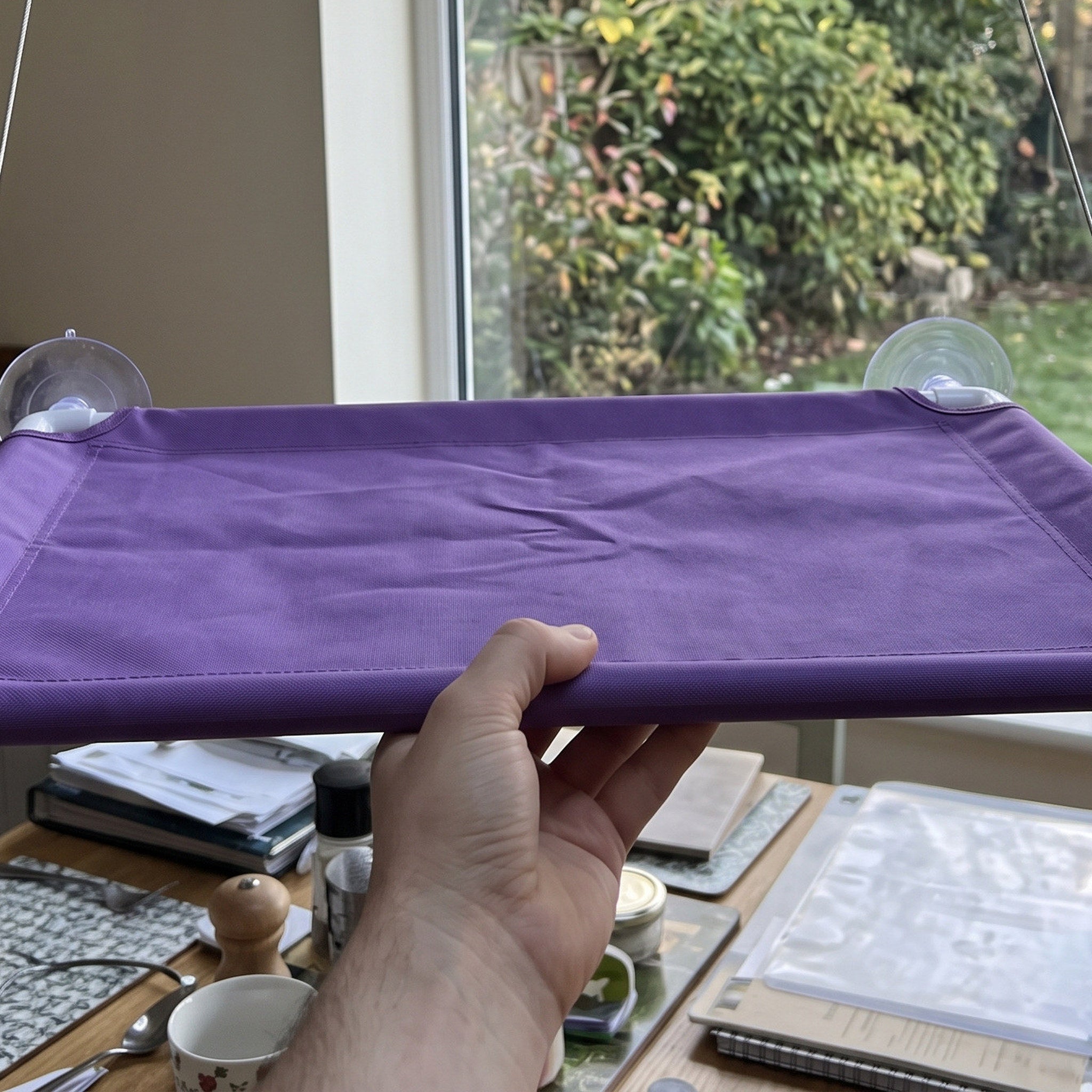 Owner Supporting A Purple Oxford Platform