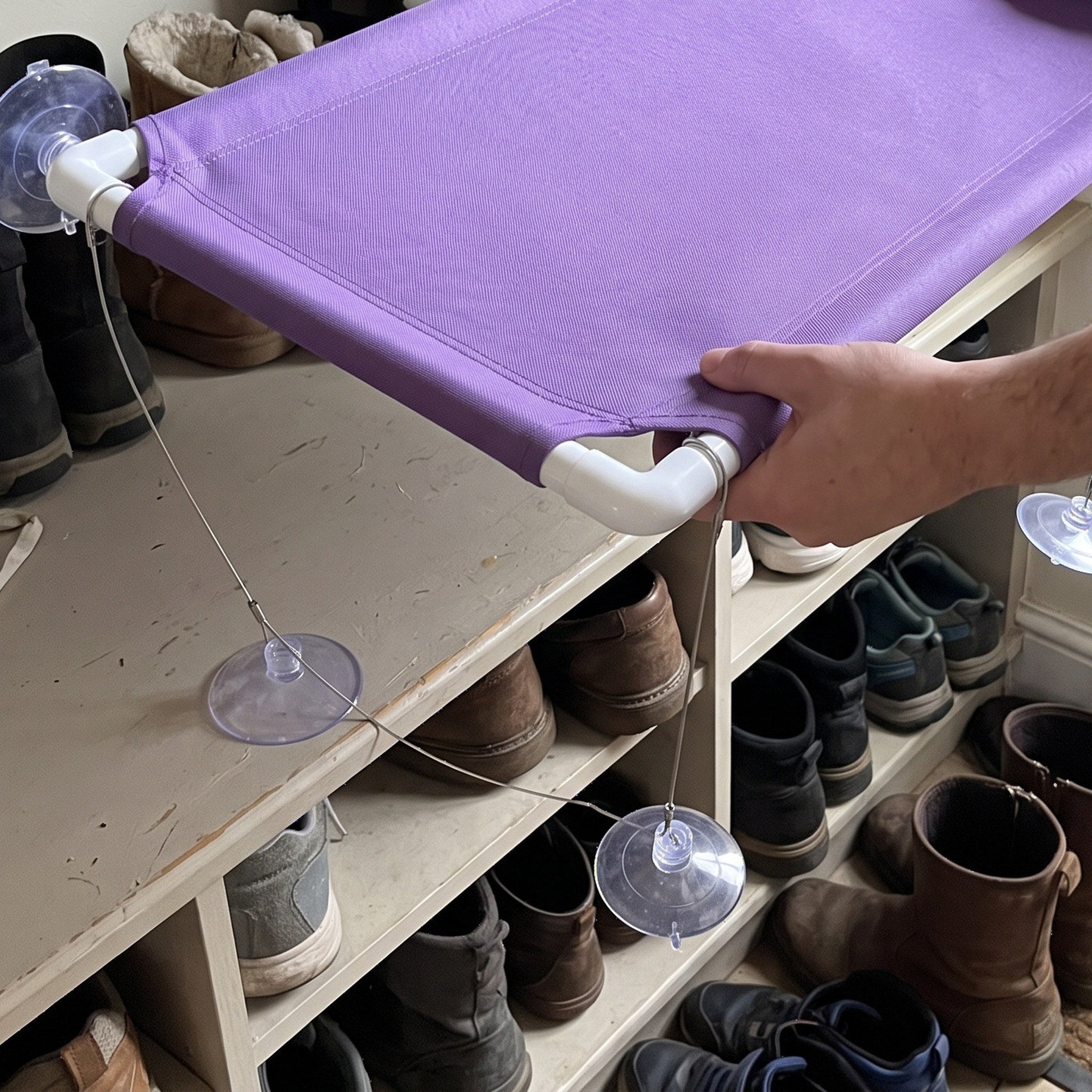 Owner Storing A Purple Perch On A Low Shelf
