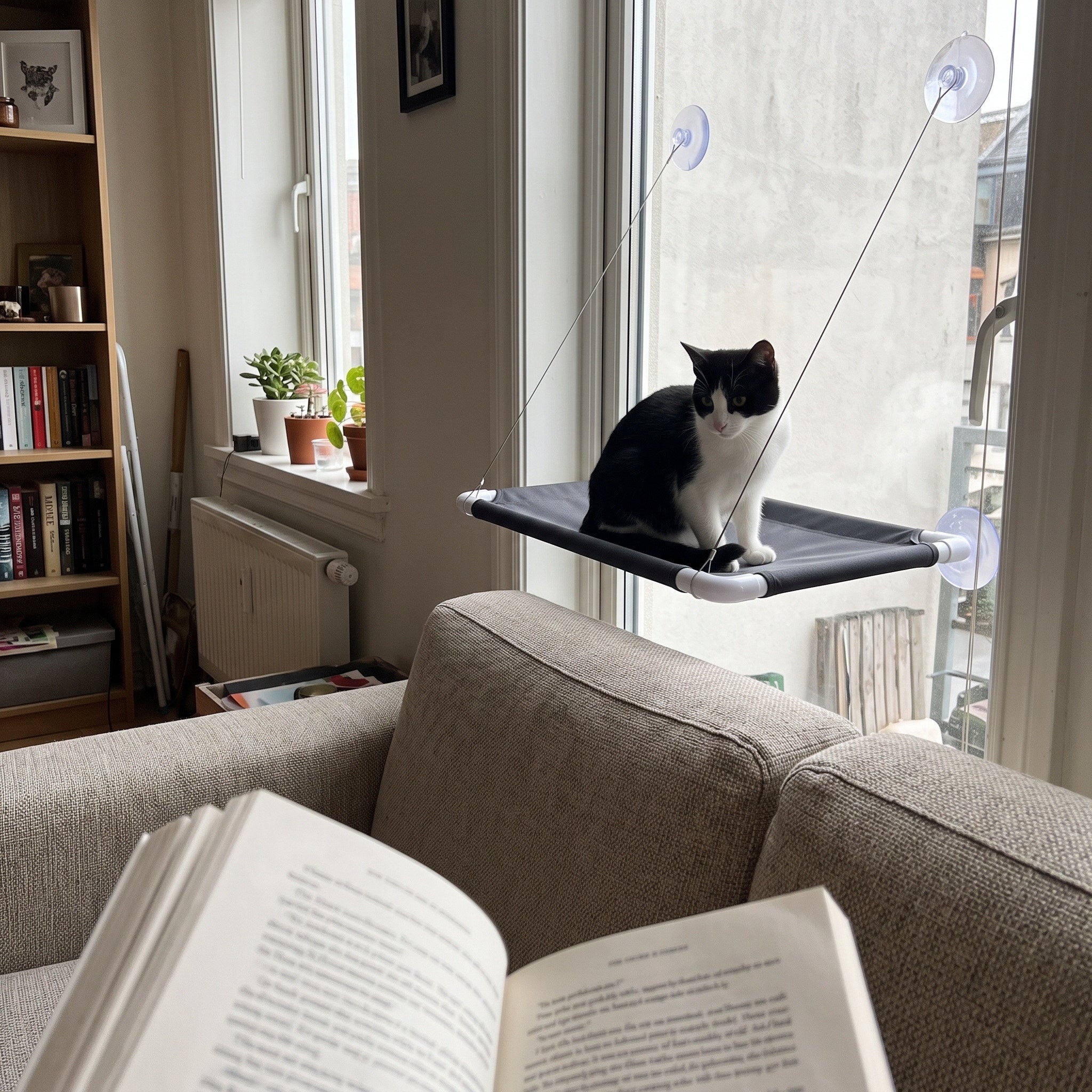 Sofa View Of A Cat On Grey Sunny Perch